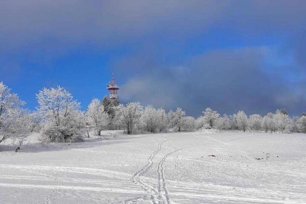 Villa Tiny Treperka Semily Esterno foto